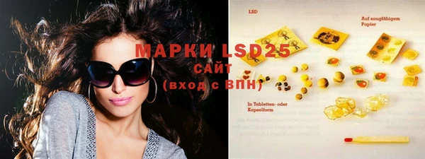 индика Ельня