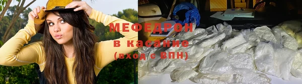 индика Ельня