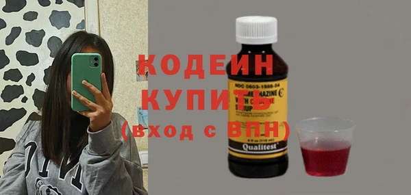 индика Ельня