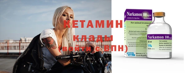 индика Ельня