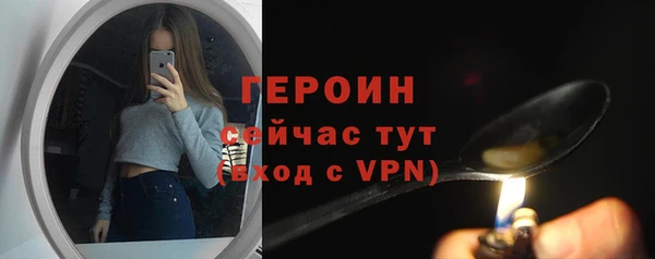 индика Ельня