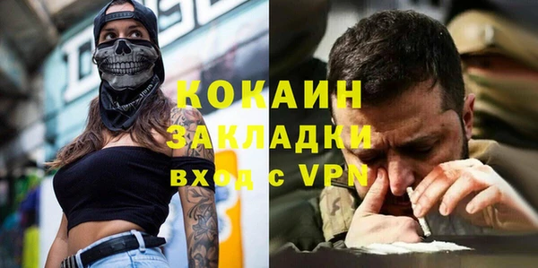 индика Ельня