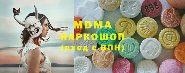 индика Ельня