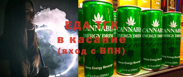 индика Ельня
