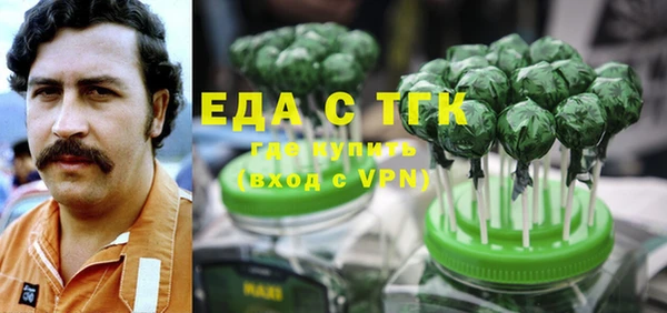 индика Ельня
