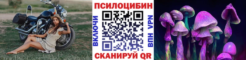 Псилоцибиновые грибы ЛСД  гидра маркетплейс  Заводоуковск 